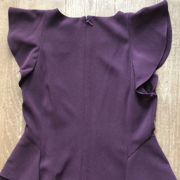 NWOT Rebecca Taylor Short Sleeve Crepe Ruffle Dress - Picture 11 of 15